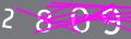 capsa
